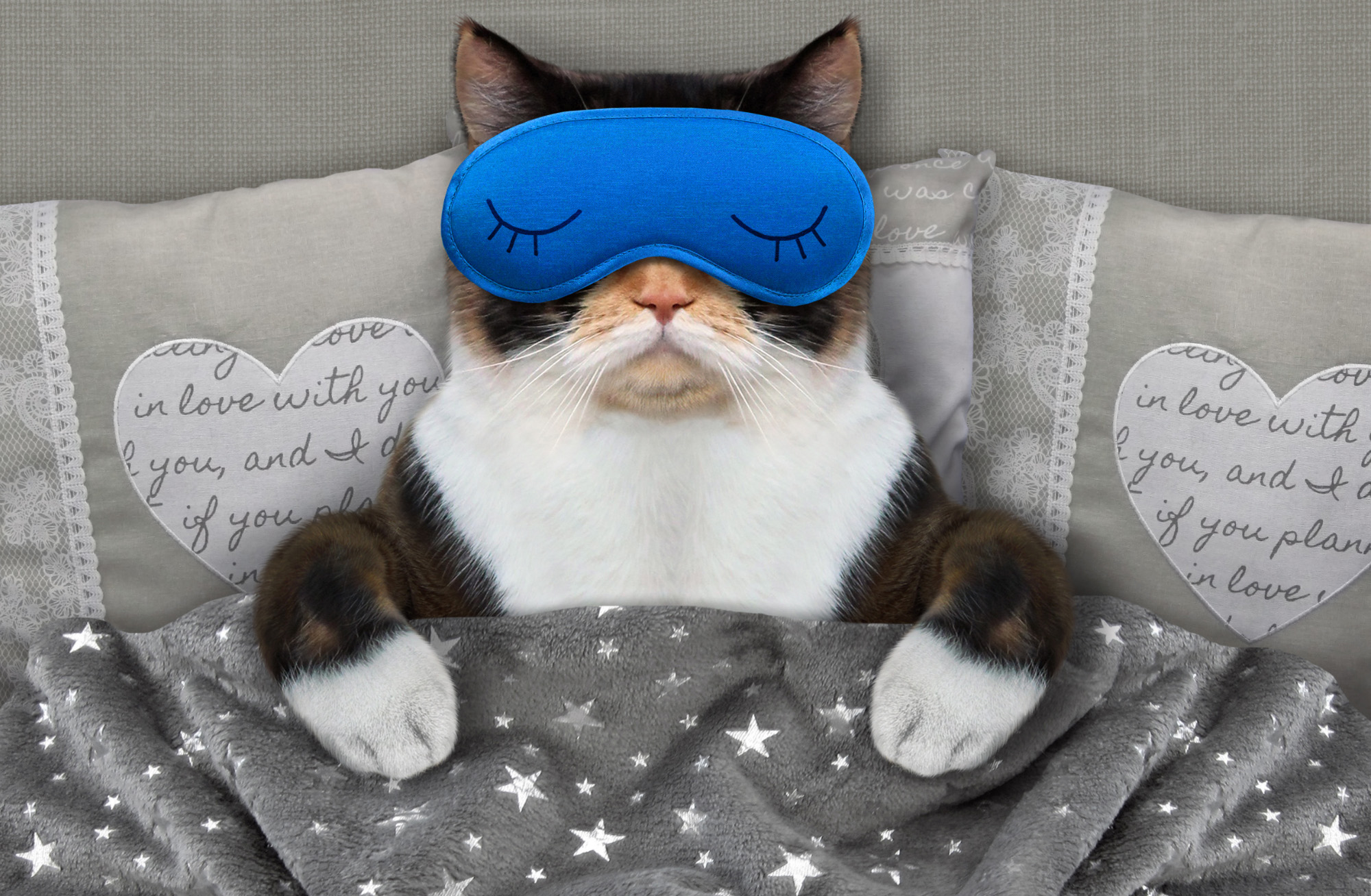 Sleep